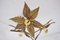 Flower Ceiling Light by Willy Daro, 1970s, Image 3