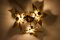 Flower Ceiling Light by Willy Daro, 1970s, Image 2