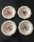 Platos de porcelana de Limoges Bernardaud, años 50. Juego de 4, Imagen 1
