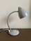 Petite Lampe de Bureau Grise par Herman Theodoor Busquet pour Hala Zeist, 1960s 2