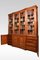 Regency Bookcase in Mahogany 10