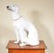Italian Lifesize Pottery Dog by C.S.M, 1960s, Image 1