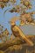 Credenza Chinoiserie laccata azzurra e dorata, inizio XX secolo, Immagine 2