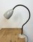 Grey Industrial Gooseneck Table Lamp from Philips, 1960s 6