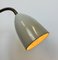 Grey Industrial Gooseneck Table Lamp from Philips, 1960s 17
