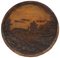 Wax Models on Plywood, 1930s-1940s, Set of 3, Image 2