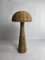 Vintage Mushroom Floor Lamp, 1960s 2