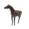Modelo de caballo mediano de cuero genuino, años 70, Imagen 7