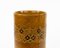 Mid-Century Glazed Ceramic Cylinder Vase by Aldo Londi for Bitossi, 1960s 6