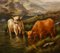 Large Scottish Highland Cattle, Oil Paintings, Framed, Set of 2 4
