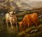 Large Scottish Highland Cattle, Oil Paintings, Framed, Set of 2, Image 4