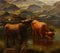 Large Scottish Highland Cattle, Oil Paintings, Framed, Set of 2 12