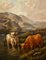 Large Scottish Highland Cattle, Oil Paintings, Framed, Set of 2 3