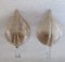 Gilded Murano Glass Leaf Sconces, 1980s, Set of 2 27