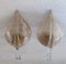 Gilded Murano Glass Leaf Sconces, 1980s, Set of 2, Image 27