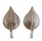 Gilded Murano Glass Leaf Sconces, 1980s, Set of 2, Image 1