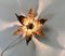 Applique a forma di fiore in ottone di Willy Daro per Massive, Belgio, anni '60, Immagine 2