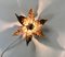 Floral-Shaped Brass Leaf Sconce by Willy Daro for Massive, Belgium, 1960s 2