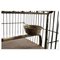 20th Century Bird Cage 6