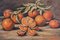 Claude Rayol, Stillleben mit Orangen, Öl auf Holz 2