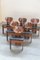 Chairs Mod. Africa by Afra Scarpa, 1990s, Set of 12, Image 4