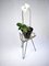 Mid-Century Minimalist Tripod Plant Stand, 1950s, Image 5