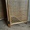 Mid-Century Italian Bamboo and Cane Screen Room Divider, 1960s 9