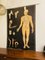 Vintage Teaching Board The Skeleton of Man by Prof. Dr. Med. W. Blotevoge for Hagemann, 1974 1