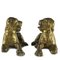 Stylophorous Lions in Gilt Bronze, Set of 2 9