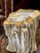 Side Table in Petrified Wood 3