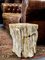 Side Table in Petrified Wood 1