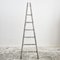 Large Vintage French Fruit Picking Ladder, 1950s 2