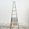 Large Vintage French Fruit Picking Ladder, 1950s 1