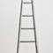 Large Vintage French Fruit Picking Ladder, 1950s 3