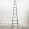 Large Vintage French Fruit Picking Ladder, 1950s 2