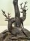 Bronze Table Lamp with Deer attributed to Valenti, 1960s 3