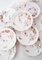 French Hand-Painted Dessert Plates, Set of 12, Image 2