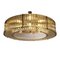 Stadium Style Ceiling Lamp in Gilt Metal & Tubular Crystals 1