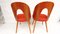 Mid-Century Dining Chairs by Antonin Suman, 1960s, Set of 2, Image 15