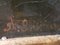 Artiste de l'époque Louis Philippe, Paysage, Années 1800, Huile sur Toile, Encadrée 14