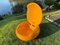 Senftenberger Garden Egg Chair in Yellow by Peter Ghyczy, Image 11