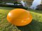 Senftenberger Garden Egg Chair in Gelb von Peter Ghyczy 9