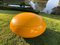 Senftenberger Garden Egg Chair in Yellow by Peter Ghyczy 9
