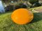 Egg Chair Jaune Senftenberger par Peter Ghyczy 8