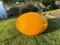 Senftenberger Garden Egg Chair in Yellow by Peter Ghyczy, Image 8