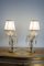 Lampes Crybat-Jour Vintage en Cristal avec Abat-jour en Tulle, 1940s, Set de 2 12