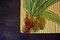 Palm Tree Table Mat by Vallauris AM 2