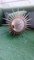 Mid-Century Wandlampe aus Messing 6
