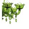 Green Murano Glass Chandelier 7