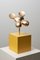 Sculpture Mima en Bronze par Eduard Van Giel 2